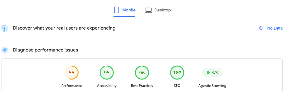 mobile pagespeed insights screenshot