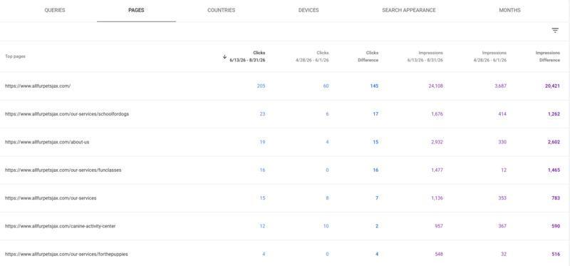 All Fur Pets Local SEO Case Study: Owner Expertise Meets Search Strategy 3 Google Search Console page performance for local dog trainer SEO campaign